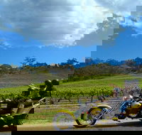 Unique Trike Barossa Valley Half Day Private Tour For 2 - Attractions Brisbane