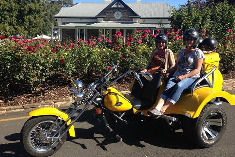 Unique Trike Barossa Valley Half Day Private Tour For 2 - Attractions Brisbane 5
