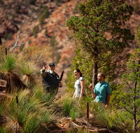 3-Night Wilpena Pound Getaway Including Scenic Flight and 4WD Tour - Attractions Brisbane