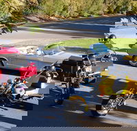 Ultimate Barossa Adventure Day Tour For 2 - Combined Mustang Convertible-Trike - Attractions Brisbane