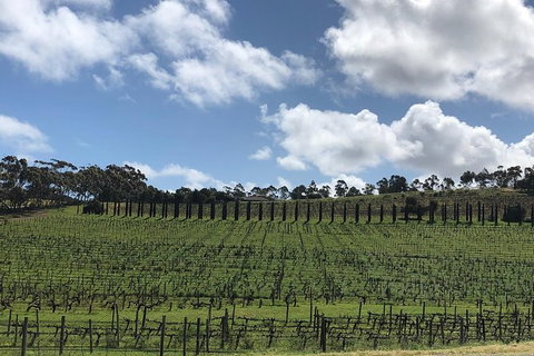 Intimate Wine Experience - Adelaide Hills - Attractions Brisbane 10