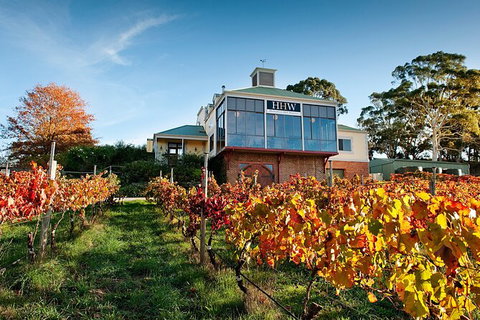 Adelaide Hills Food, Wine, Cheese, & Chocolate - Private Day Tour - Attractions Brisbane 7