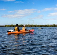 Dolphin Sanctuary Kayaking in Adelaide - Attractions Brisbane
