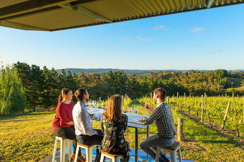 Panorama Experience - Attractions Brisbane 1