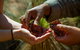 Half-Day Tour Into Ikara-Flinders Ranges National Park - thumb 6