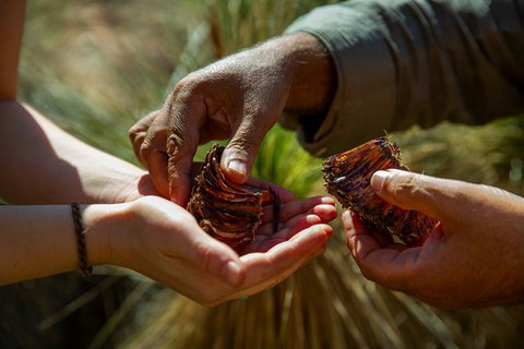 Half-Day Tour Into Ikara-Flinders Ranges National Park - Attractions Brisbane 6