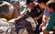 Half-Day Tour Into Ikara-Flinders Ranges National Park - thumb 2