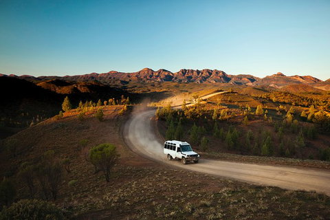 Half-Day Tour Into Ikara-Flinders Ranges National Park - Attractions Brisbane 7