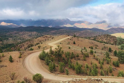 Half-Day Tour Into Ikara-Flinders Ranges National Park - Attractions Brisbane 3