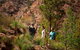Half-Day Tour Into Ikara-Flinders Ranges National Park - thumb 4