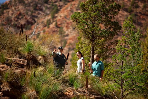 Half-Day Tour Into Ikara-Flinders Ranges National Park - Attractions Brisbane 4