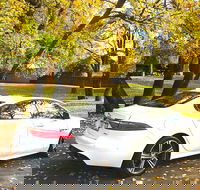 Luxury Jaguar Barossa Valley Half Day Private Tour For 2 - Attractions Brisbane