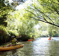 Paddle with the Platypus Twilight Kayak Adventure - Attractions Brisbane