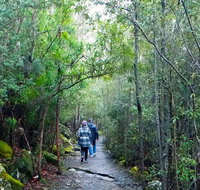 kunanyi/Mt Wellington Explorer Bus - One Way Tour - Attractions Brisbane