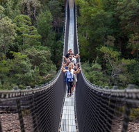 Tahune Airwalk Active Day Trip from Hobart Including Hastings Caves - Attractions Brisbane