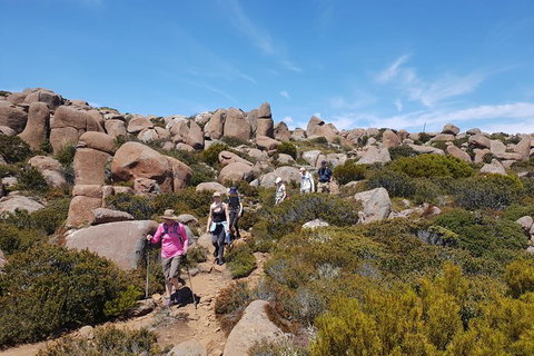 Alpine Loop - Attractions Brisbane 2