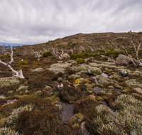 Alpine Loop - Attractions Brisbane