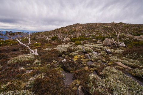 Alpine Loop - Attractions Brisbane 0