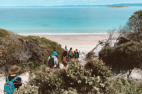 Freycinet Walking Tour - Attractions Brisbane 2