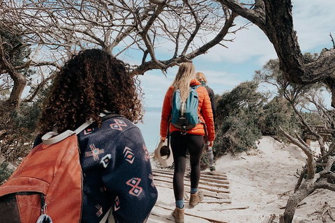 Freycinet Walking Tour - Attractions Brisbane 6