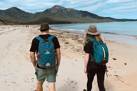 Freycinet Walking Tour - Attractions Brisbane 7