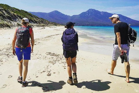 Freycinet Walking Tour - Attractions Brisbane 1