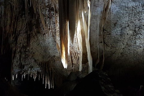 Shore Excursion: Coast, Caves And Wildlife Park - 8 Hour Tour - Attractions Brisbane 10