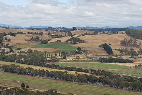 Shore Excursion: Coast, Caves And Wildlife Park - 8 Hour Tour - Attractions Brisbane 4