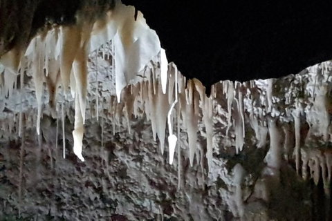 Shore Excursion: Coast, Caves And Wildlife Park - 8 Hour Tour - Attractions Brisbane 21