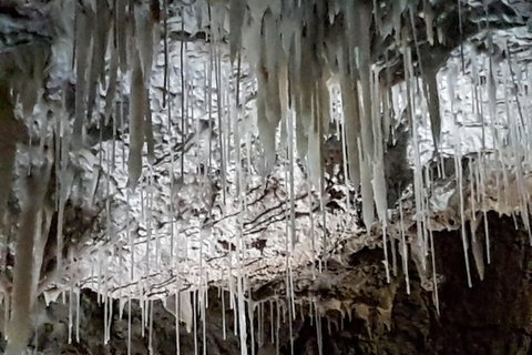 Shore Excursion: Coast, Caves And Wildlife Park - 8 Hour Tour - Attractions Brisbane 15