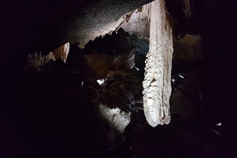 Shore Excursion: Coast, Caves And Wildlife Park - 8 Hour Tour - Attractions Brisbane 12