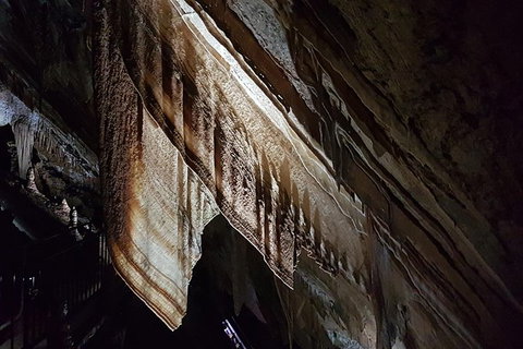 Shore Excursion: Coast, Caves And Wildlife Park - 8 Hour Tour - Attractions Brisbane 20