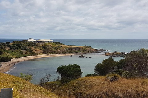 Shore Excursion: Coast, Caves And Wildlife Park - 8 Hour Tour - Attractions Brisbane 0