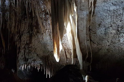 Shore Excursion: Coast, Caves And Wildlife Park - 8 Hour Tour - Attractions Brisbane 7