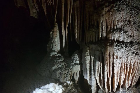 Shore Excursion: Coast, Caves And Wildlife Park - 8 Hour Tour - Attractions Brisbane 8