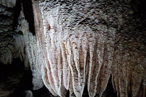 Shore Excursion: Coast, Caves And Wildlife Park - 8 Hour Tour - Attractions Brisbane 13