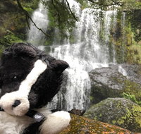 Waterfalls Guided Tour - Attractions Brisbane