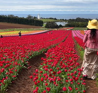 Table Cape Lighthouse Tours - Attractions Brisbane