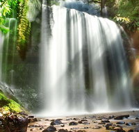 Mount Field Private Charter Service - Attractions Brisbane