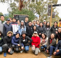 Bonorong Wildlife Volunteer Tour - Attractions Brisbane