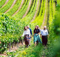 Hobart Highlights of Tasmanian Wine Full Day Tour - Attractions Brisbane