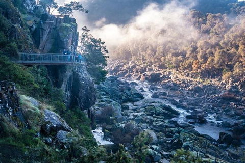 3.5 Hours Walking Tour To Cataract Gorge With Local Guide - Attractions Brisbane 0