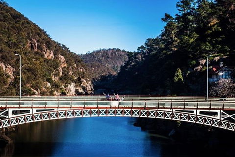 3.5 Hours Walking Tour To Cataract Gorge With Local Guide - Attractions Brisbane 5