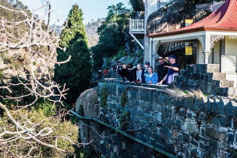 3.5 Hours Walking Tour To Cataract Gorge With Local Guide - Attractions Brisbane 3