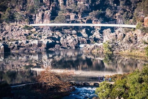 3.5 Hours Walking Tour To Cataract Gorge With Local Guide - Attractions Brisbane 2