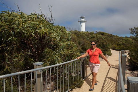 Half-Day Tour To Wineglass Bay From Launceston With Guide - Attractions Brisbane 2