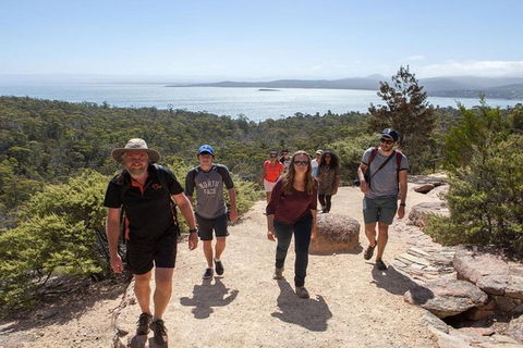 Half-Day Tour To Wineglass Bay From Launceston With Guide - Attractions Brisbane 4