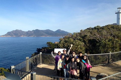 Half-Day Tour To Wineglass Bay From Launceston With Guide - Attractions Brisbane 3