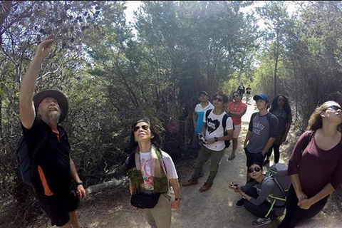 Half-Day Tour To Wineglass Bay From Launceston With Guide - Attractions Brisbane 1