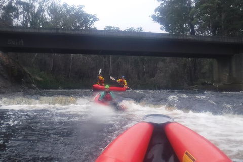 Twin Rivers Winter Adventure - Attractions Brisbane 4